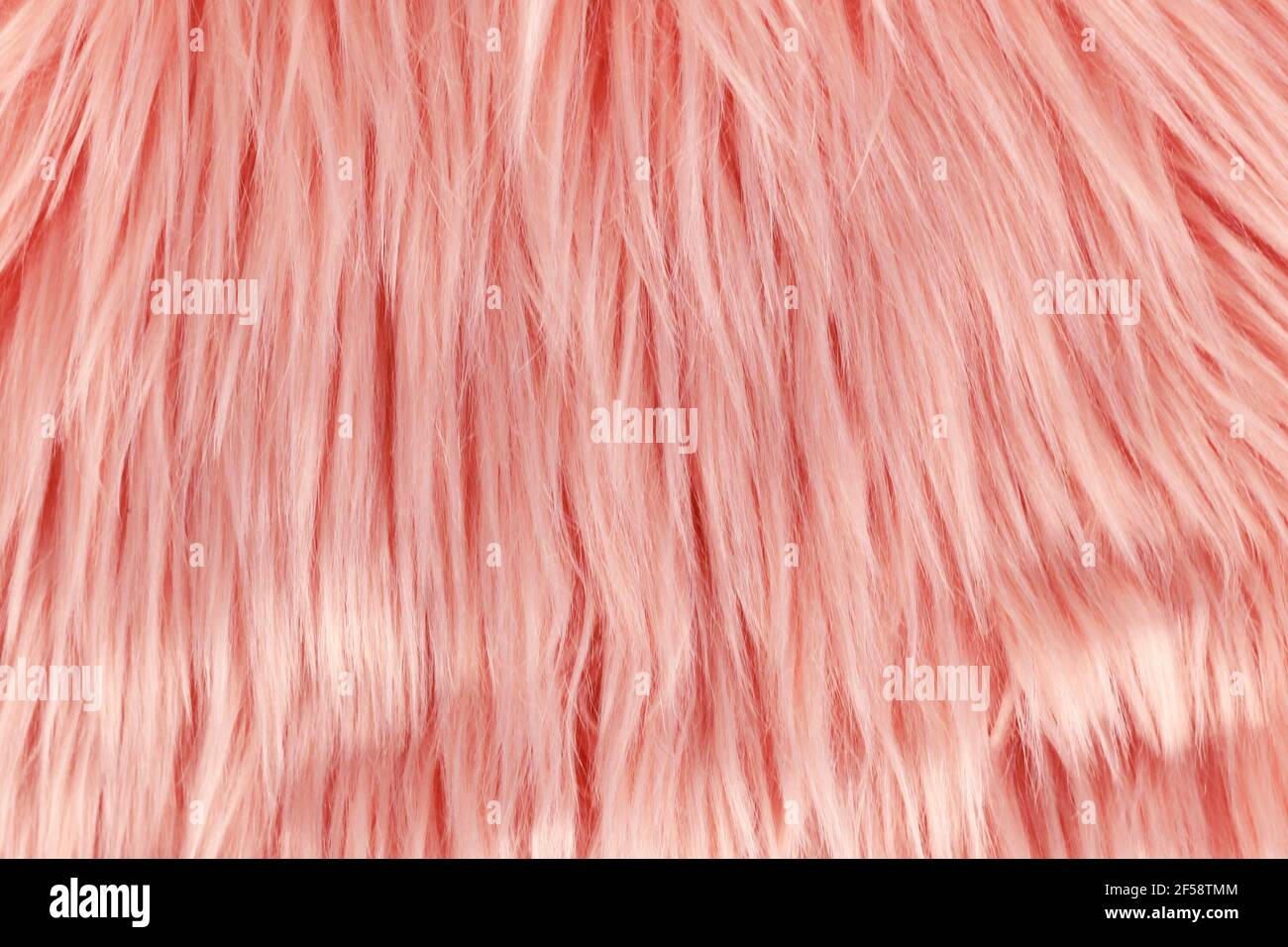 Close up of long pink synthetic fake fur Stock Photo