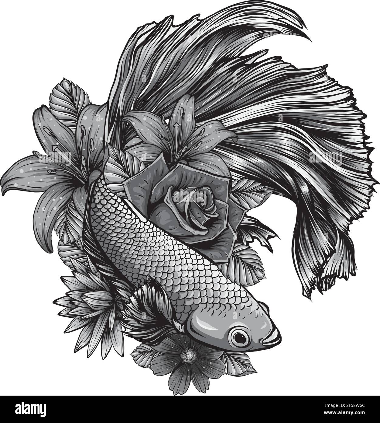Premium Vector  Vector illustration of a siamese fighting fish also known  as betta fish