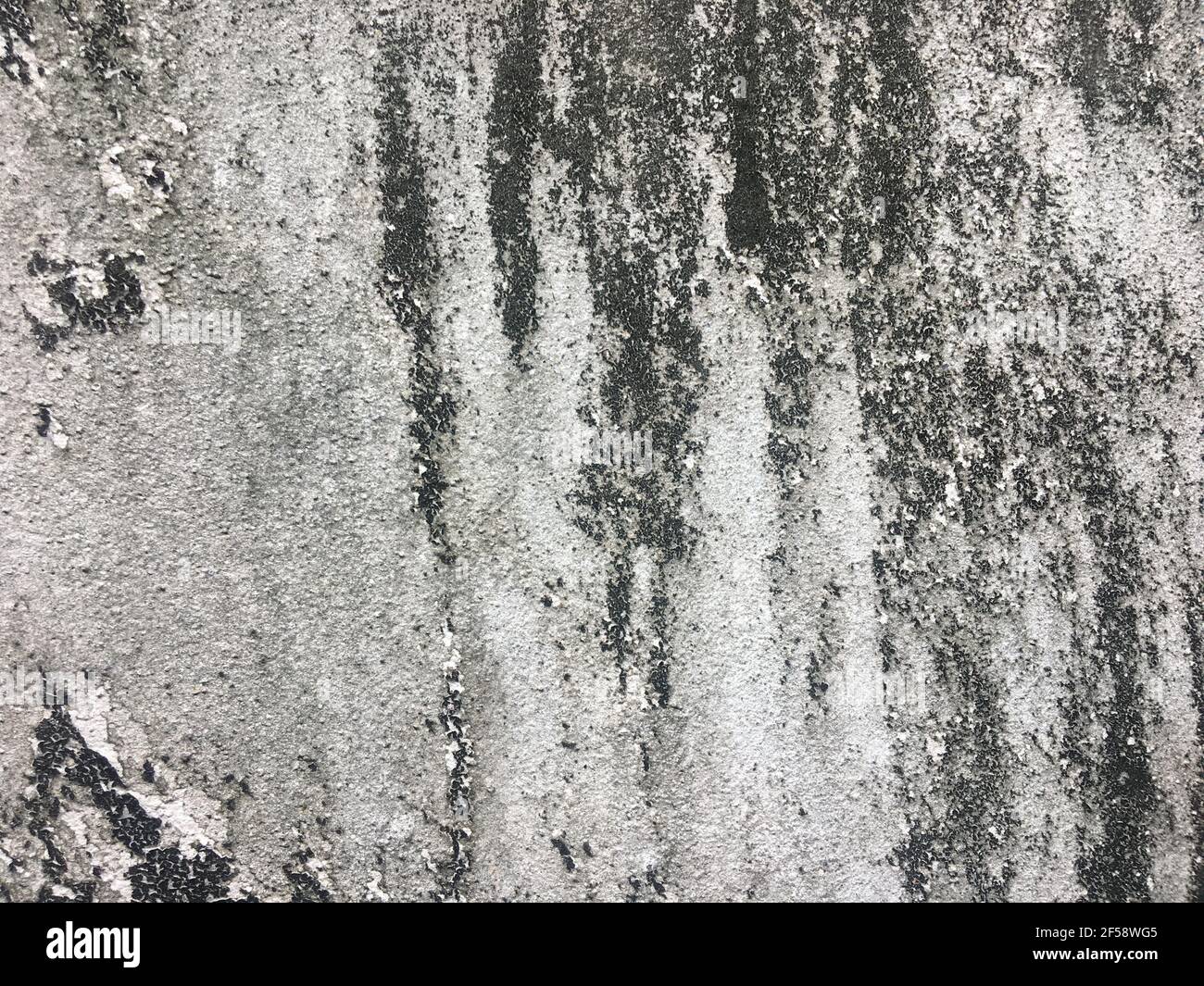 Dirty concrete wall texture for background with copy space for design