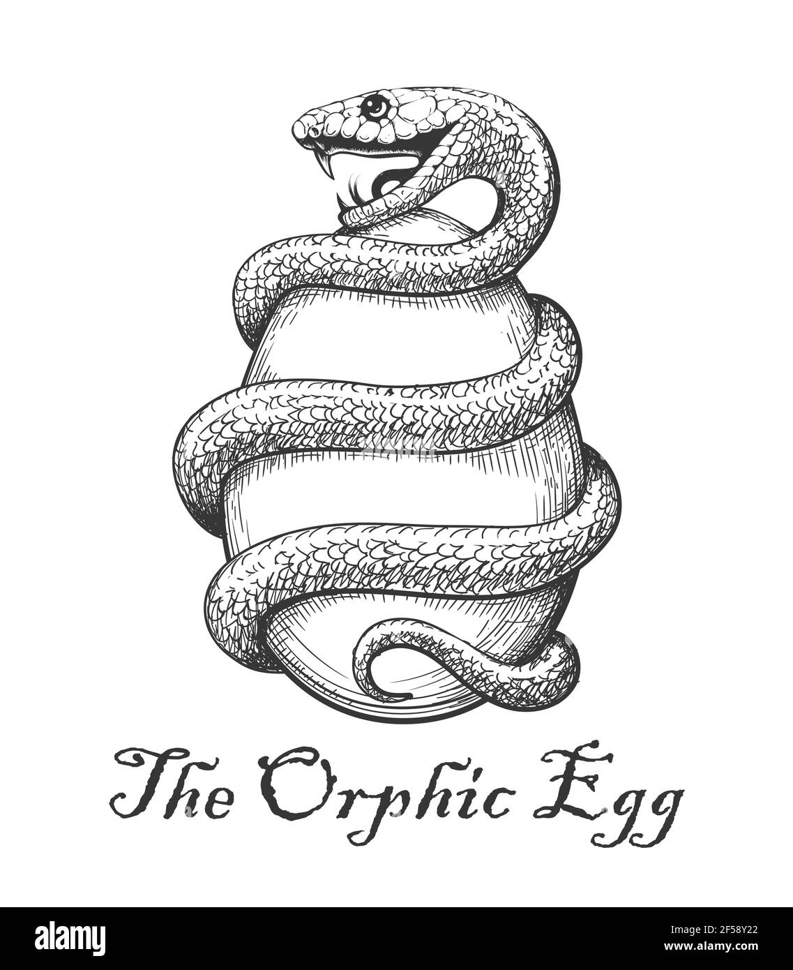 Snake with Egg. Esoteric Orphic Egg Symbol  drawn in engraving style. vecto lustration. Stock Vector