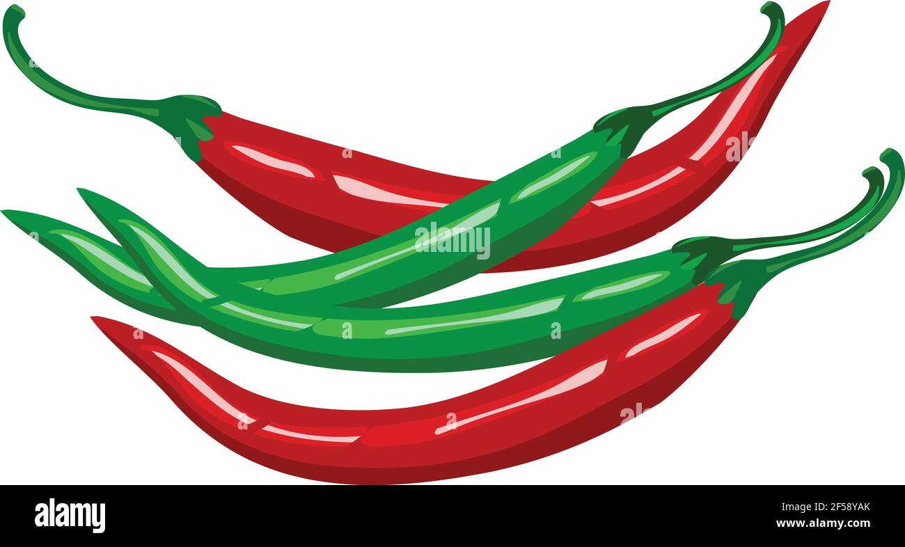 Chillies pepper illustration vector isolated on white background Stock Vector