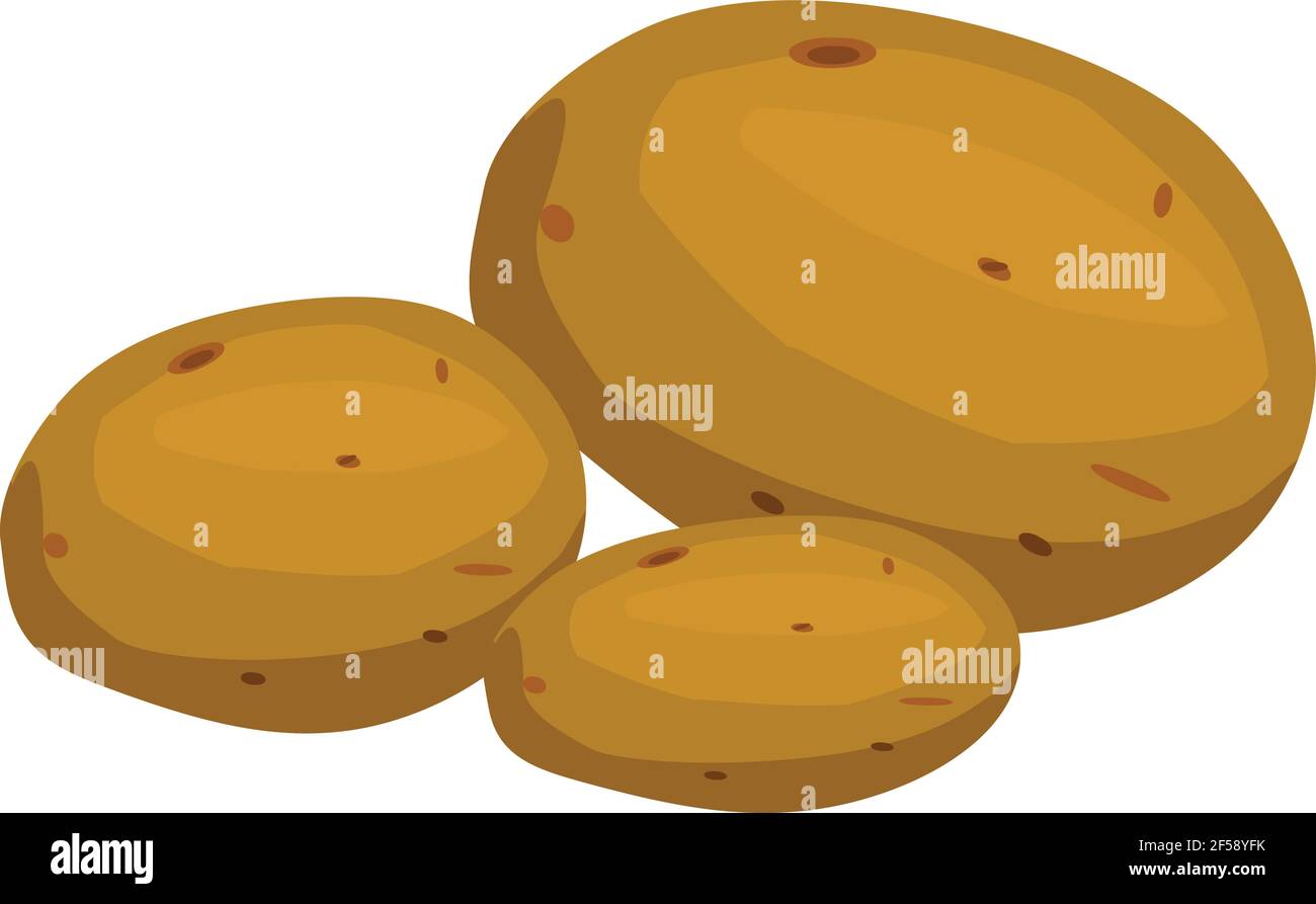 Potatoes illustration vector isolated on white background Stock Vector