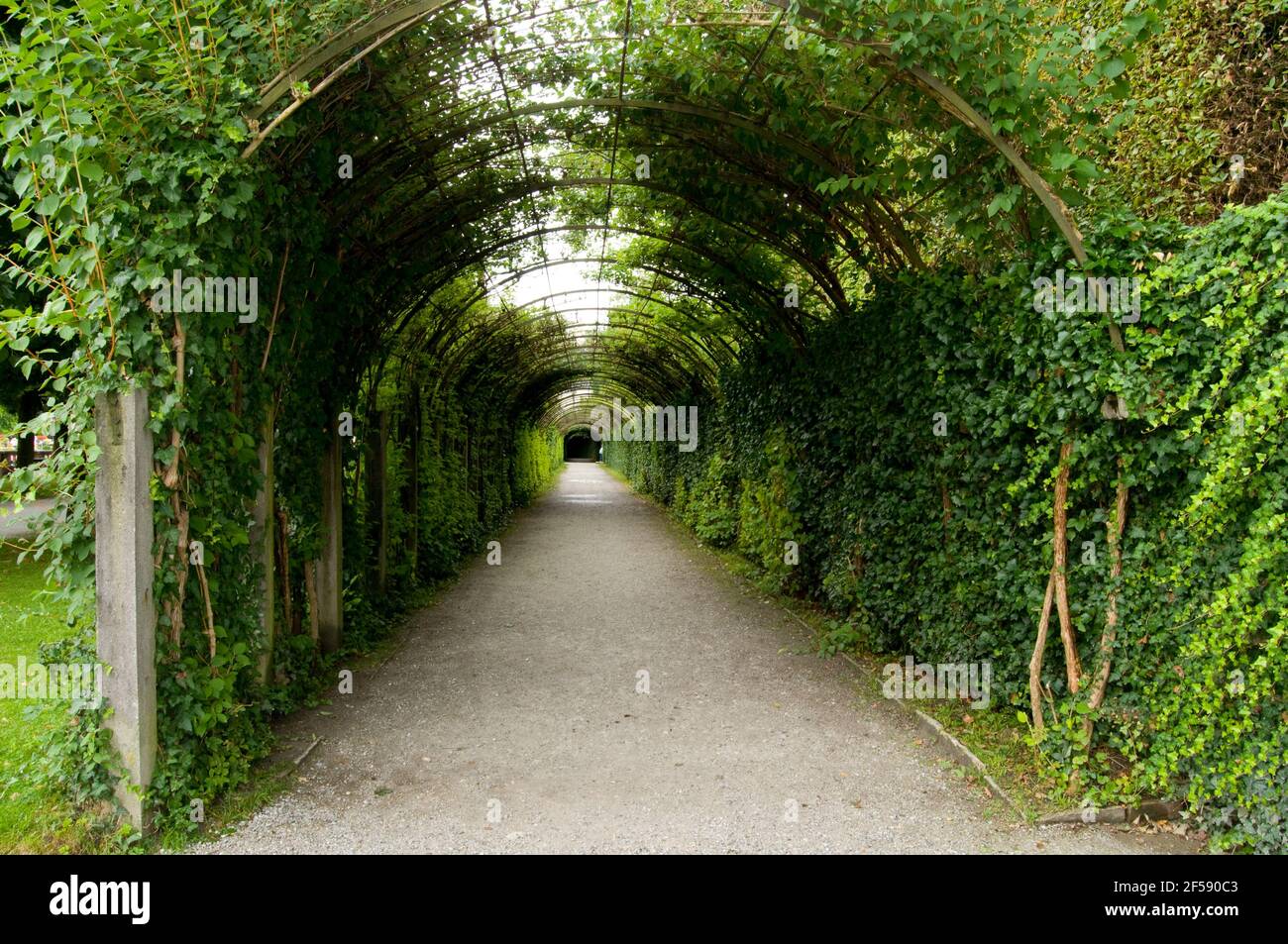 Green Hedgerow Archway Used In The Sound Of Music In Mirabell Gardens Salzburg Austria Stock Photo