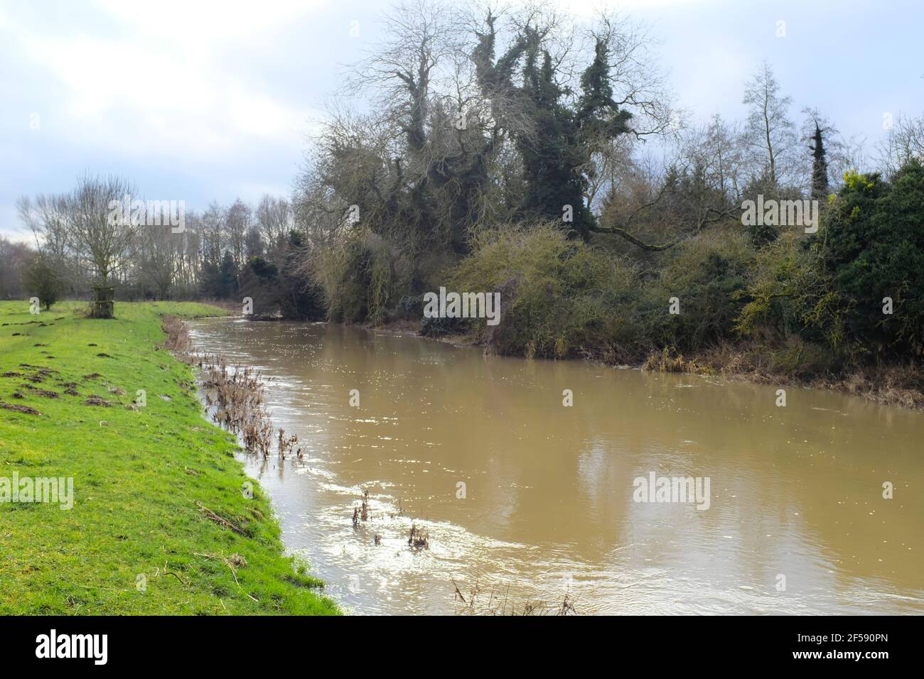 The river Ivel in Biggleswade Bedfordshire, England Stock Photo