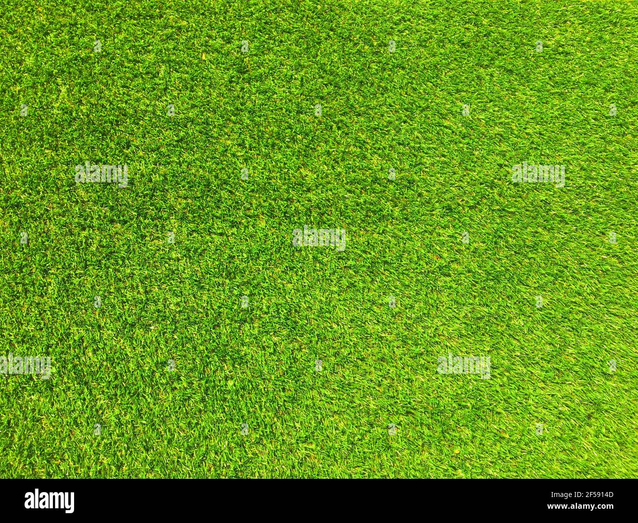 Artificial grass background for design, top view Stock Photo