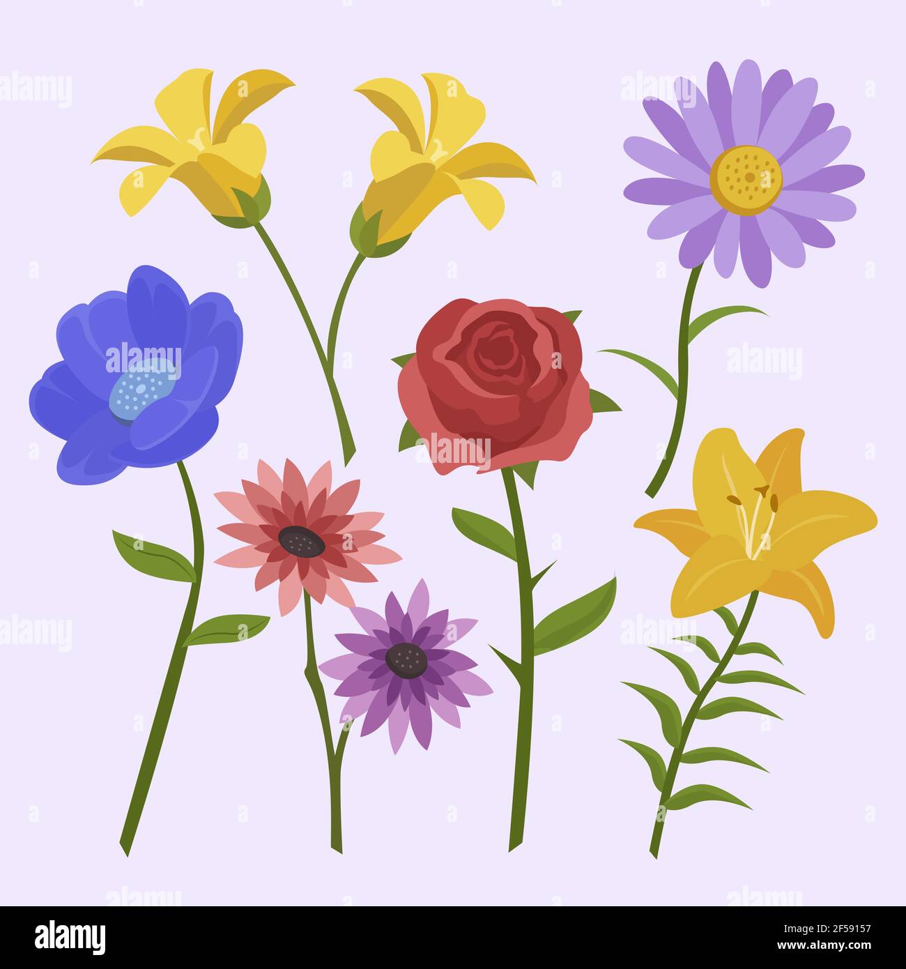 Flat flower collection Vector illustration Stock Vector Image & Art - Alamy