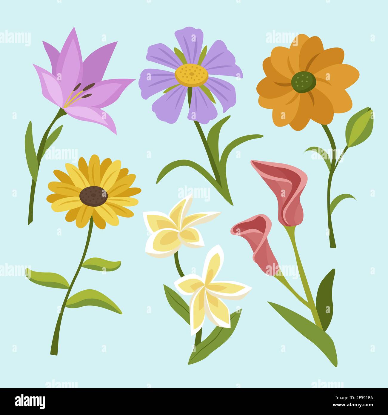 Flat flower collection Vector illustration Stock Vector Image & Art - Alamy