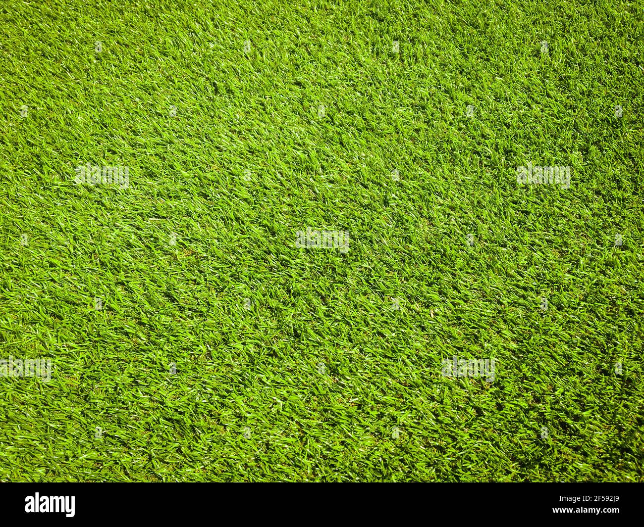 Artificial grass texture space background Stock Photo - Alamy