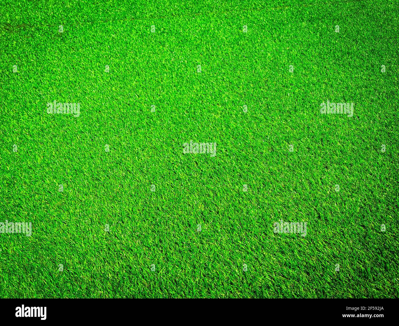 Artificial grass texture space background Stock Photo - Alamy
