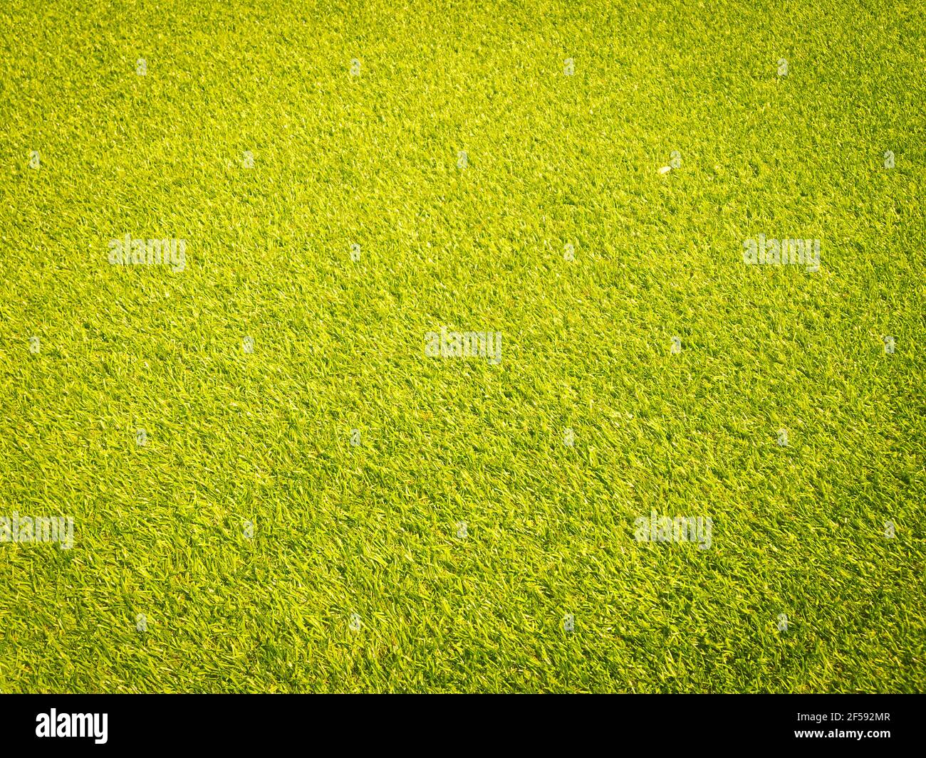 Artificial grass texture space background Stock Photo - Alamy