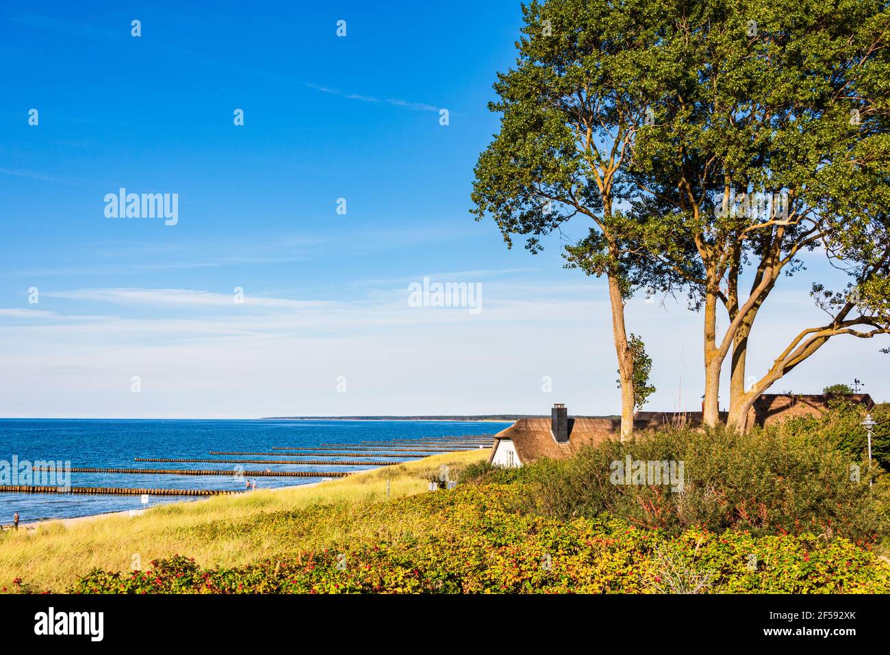 Buhnen an der Ostseeküste sorgen für Küstenschutz und feine Sandstrände Stock Photo