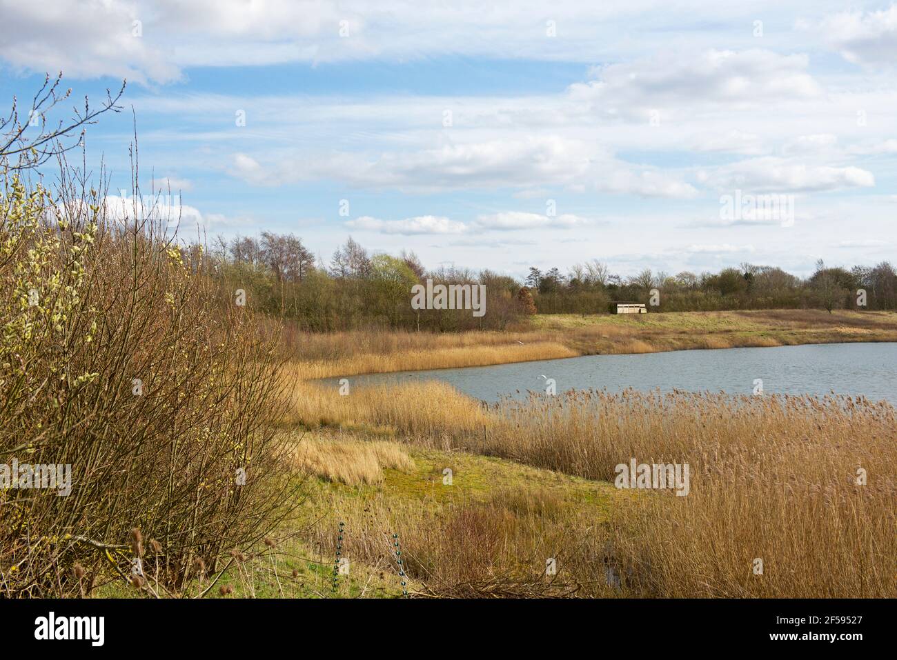North Cave Wetlands nature reserve, East Yorkshire, England UK Stock