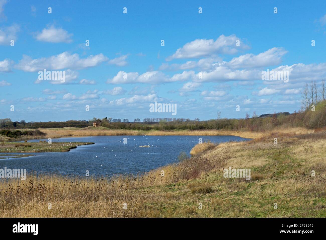 North Cave Wetlands nature reserve, East Yorkshire, England UK Stock