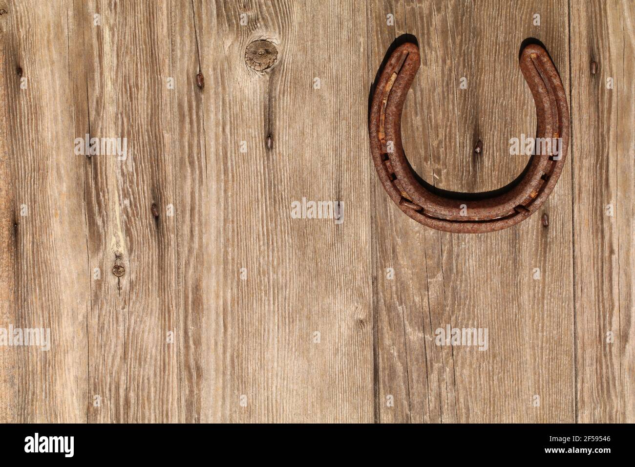 Horseshoe on a wood grain patterned door, symbol of good luck horseshoe