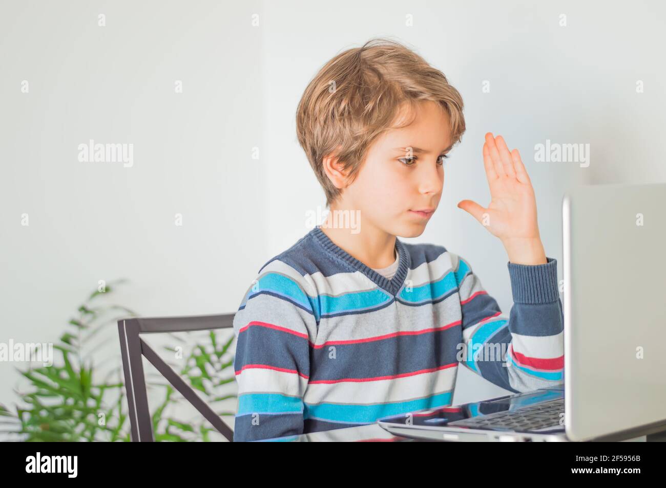 A schoolboy for online learning in front of computer Stock Photo - Alamy