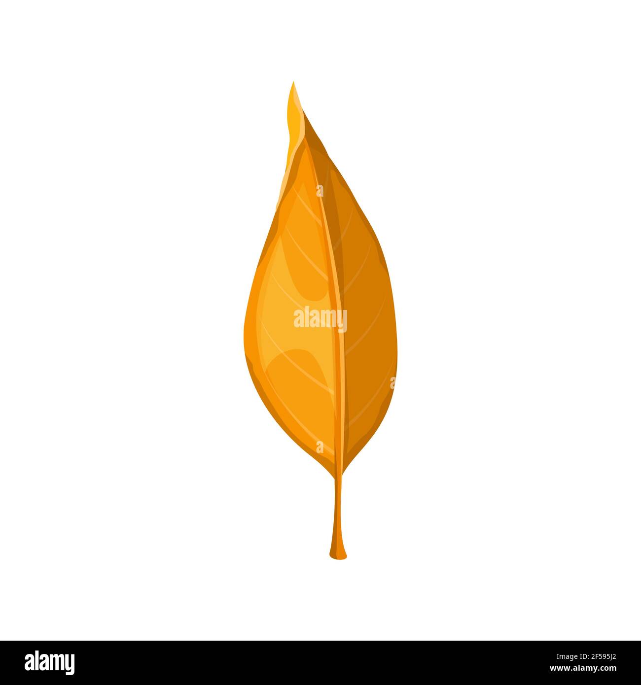 Autumn leaf yellow, fall isolated orange leaves Stock Vector