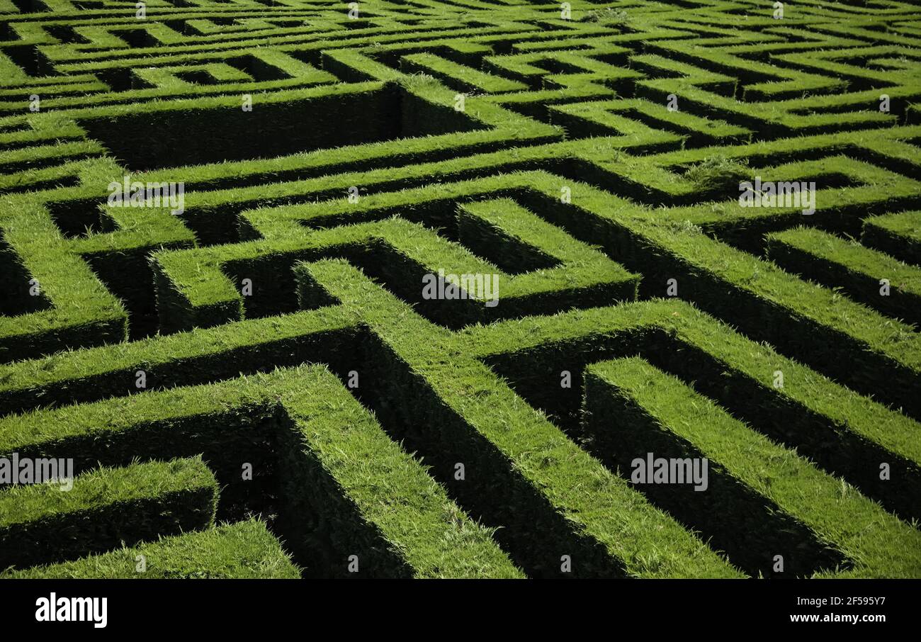Maze detail in a forest, game and fun Stock Photo - Alamy