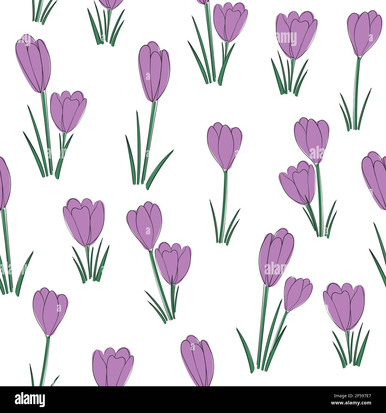 Vector floral seamless pattern background with crocus flowers. Stock Vector
