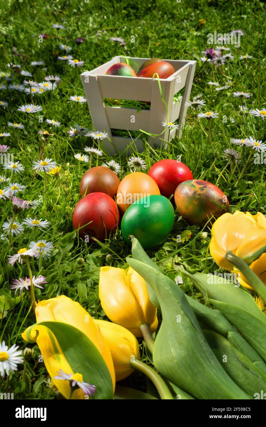 Basket Filled with Real Grass for Easter, Spring, and Summer Holidays:Easter  basket grass with flowers