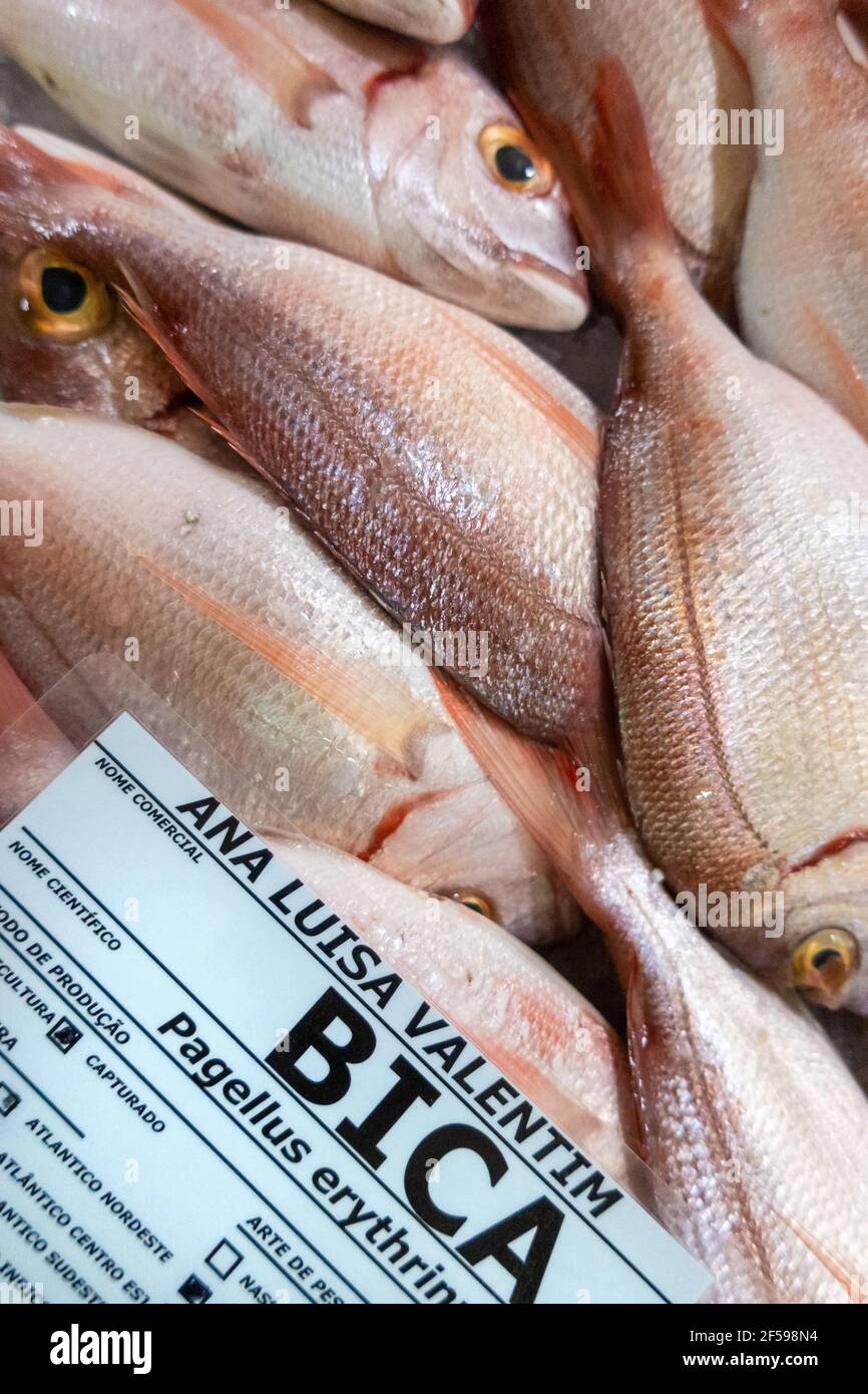 Fresh Bica fish in Portuguese fish market, Algarve, Portugal Stock Photo