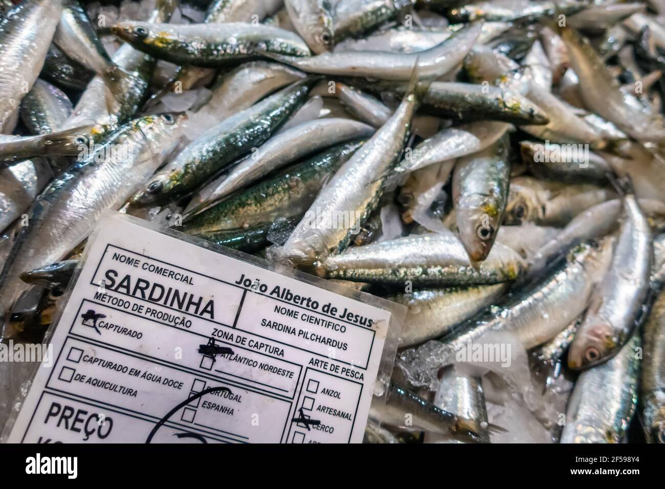 Fresh sardines in fish market, Algarve, Portugal Stock Photo Alamy