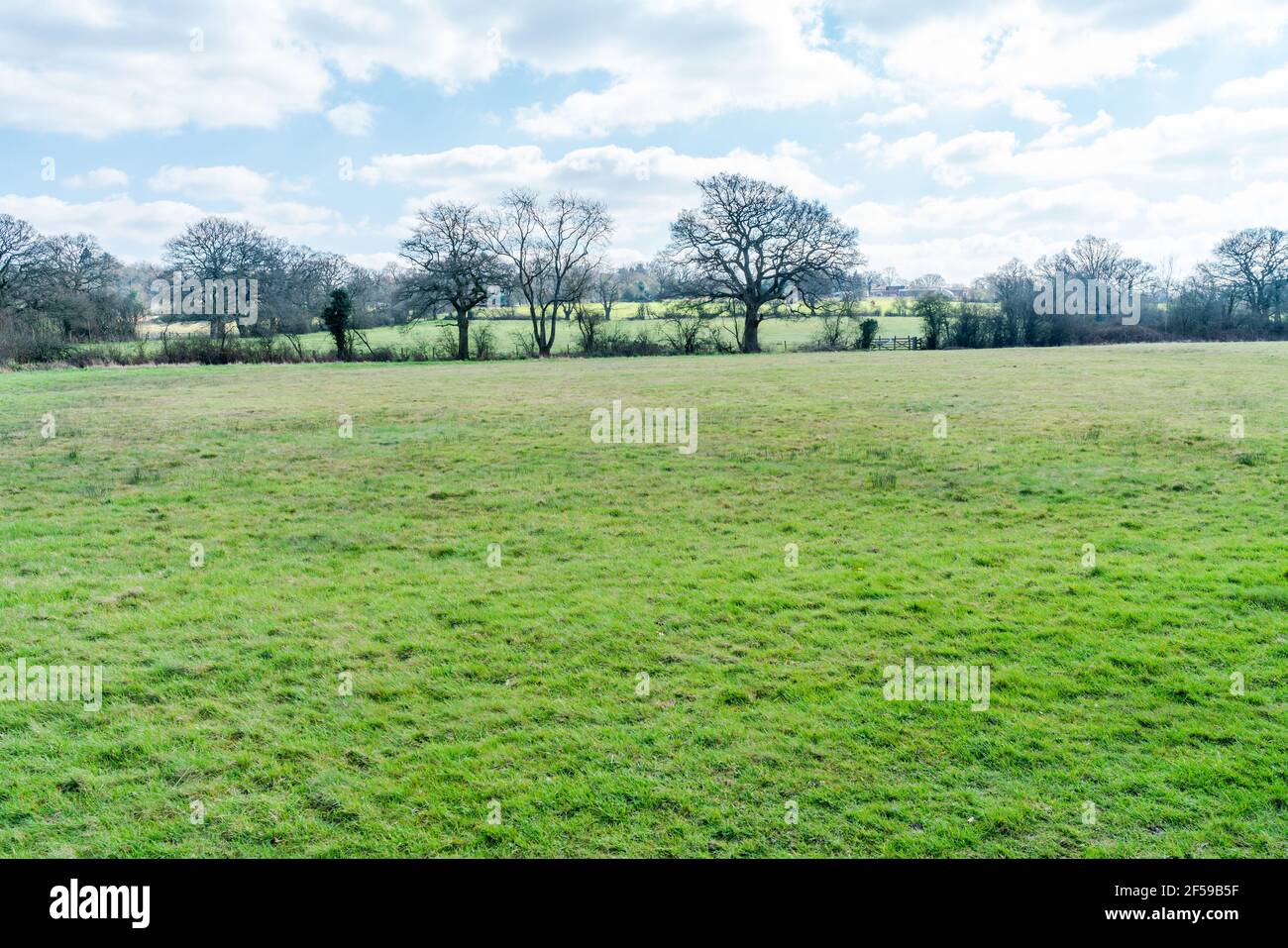 View of open space along Dollis Valley Greenwalk route in London