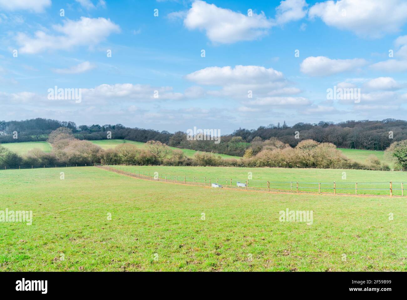 View of open space along Dollis Valley Greenwalk route in London, England, near Moat Mount Open Space in Mill Hill Stock Photo
