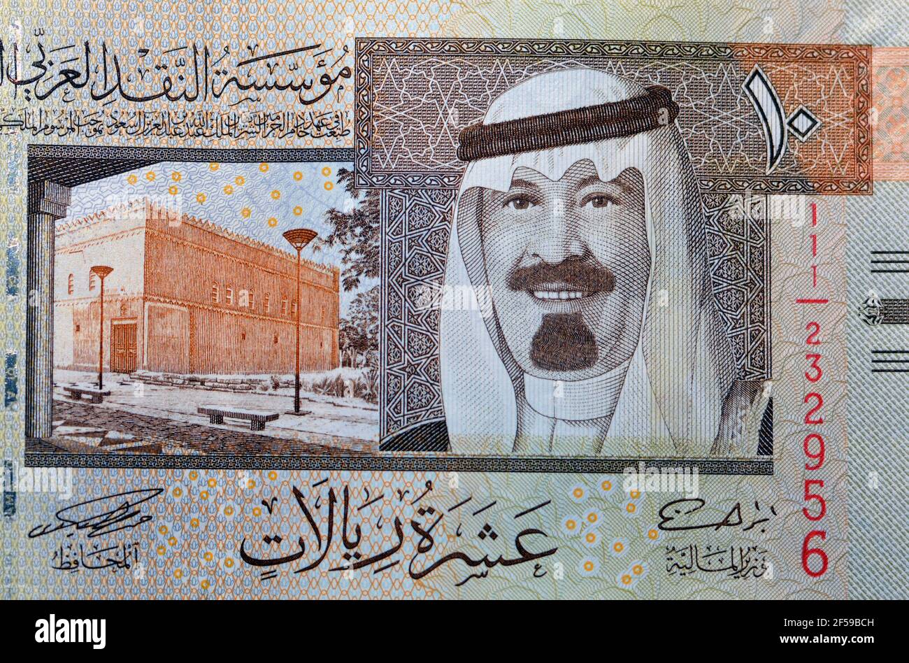 Saudi 2024 arab currency