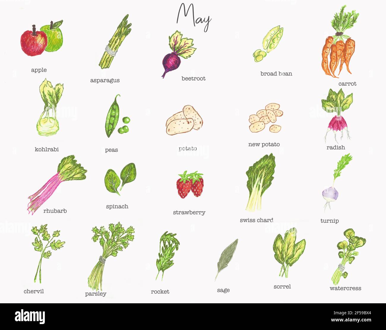 May fruit and vegetables seasonal calendar Stock Photo Alamy