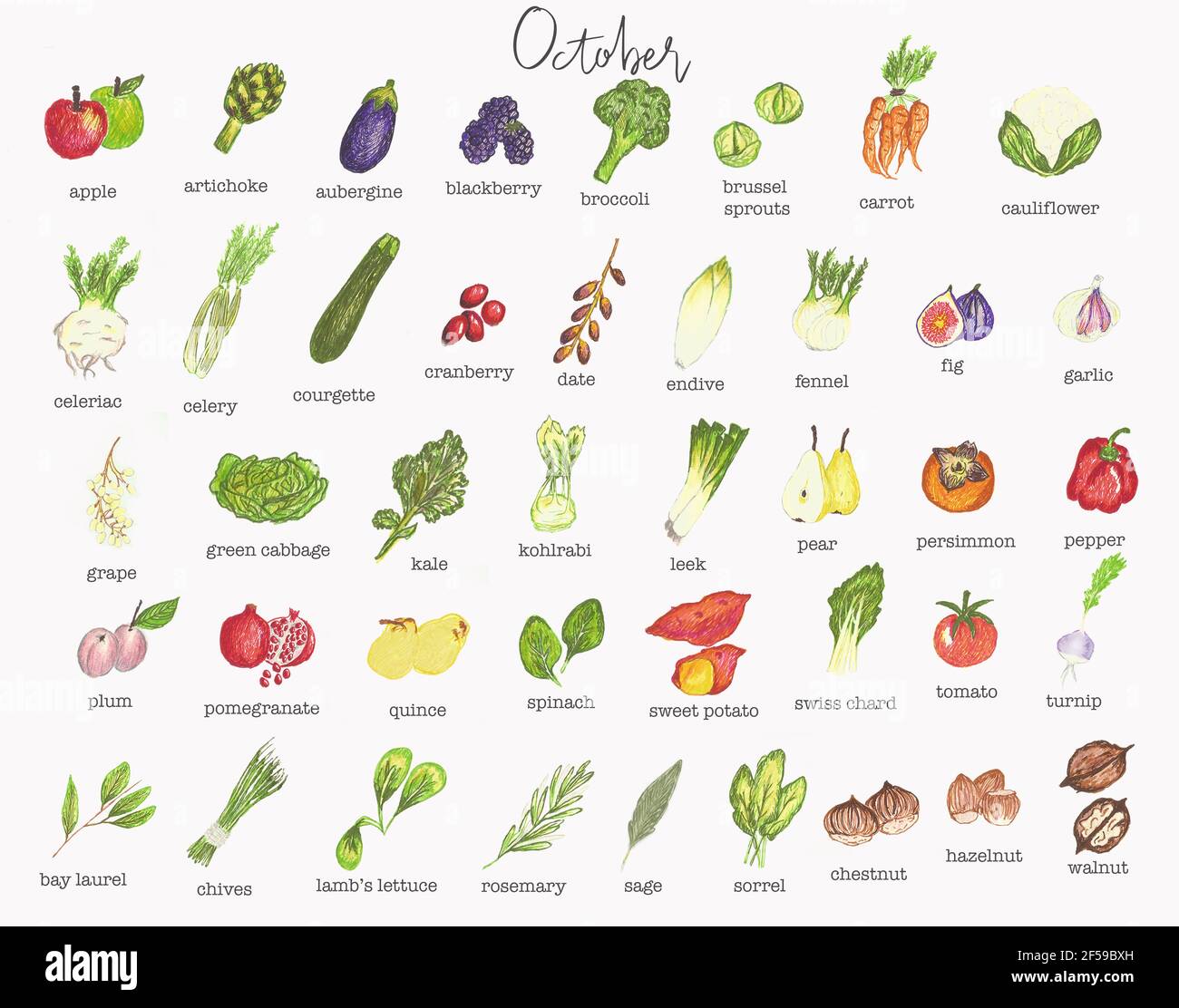 Fruit And Vegetable Calendar