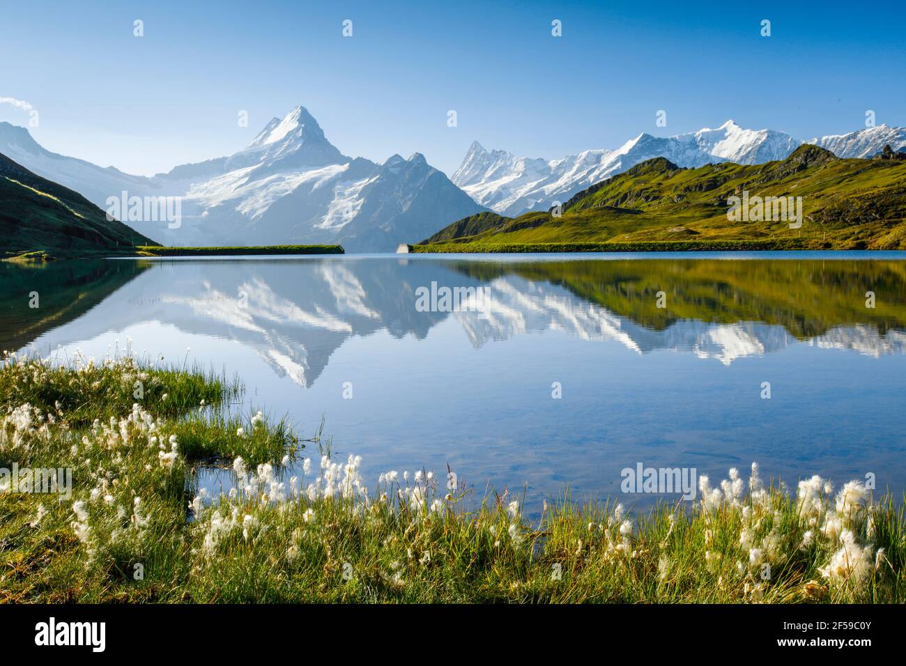 geography / travel, Switzerland, Lake Bachalp (Bachalpsee), Wetterhorn (peak), Schreckhorn (peak), Fin, Additional-Rights-Clearance-Info-Not-Available Stock Photo