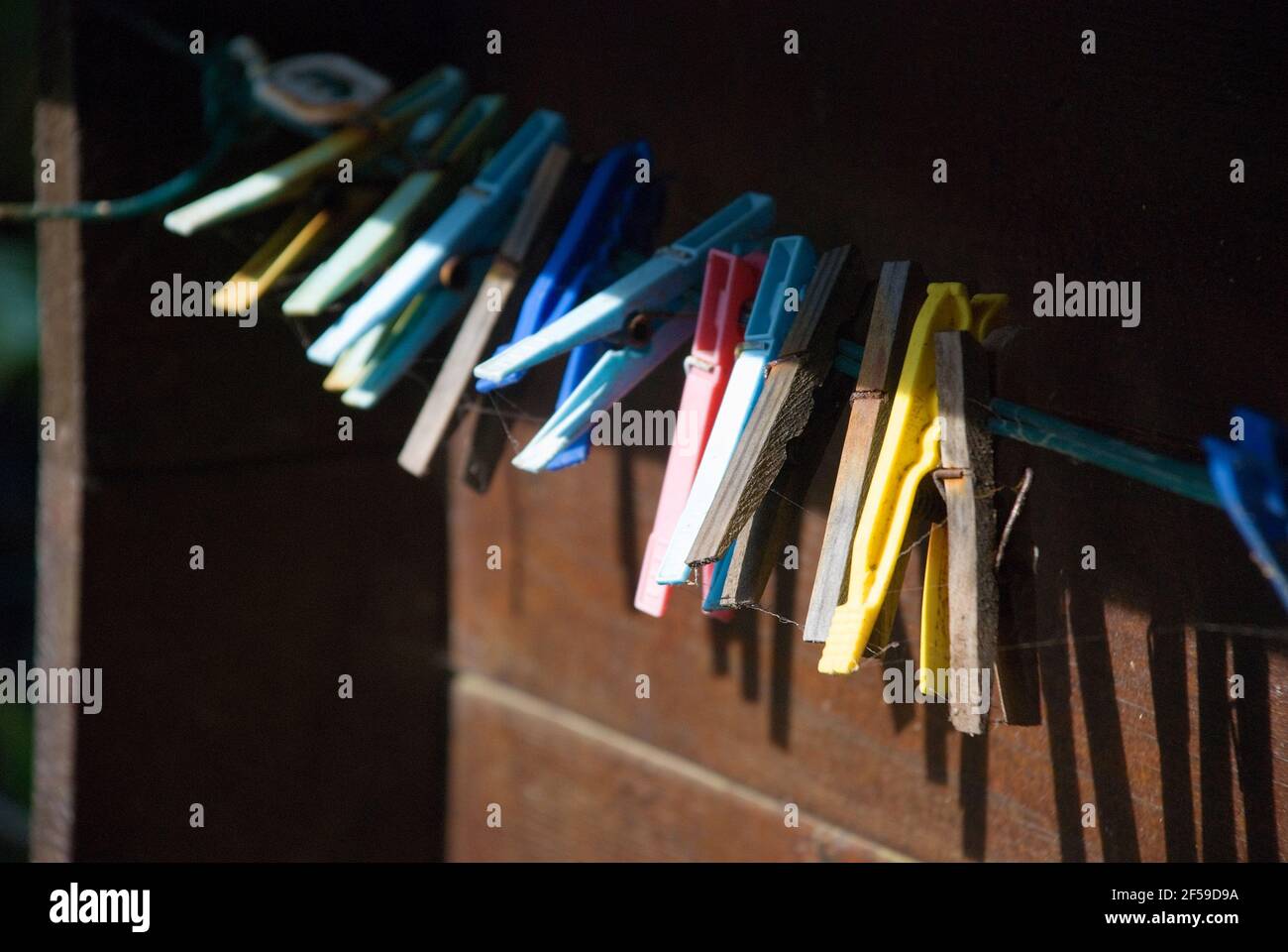 Colorful, old clothespins on wooden wall Stock Photo