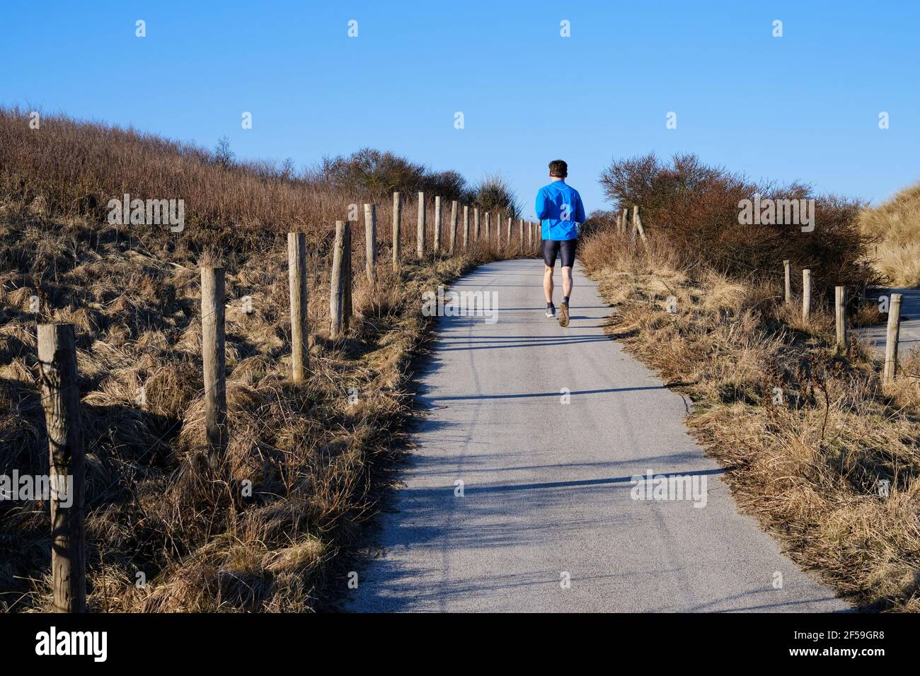 Harlopen door de Haagse duinen. | Running through the dunes of The Hague. Stock Photo