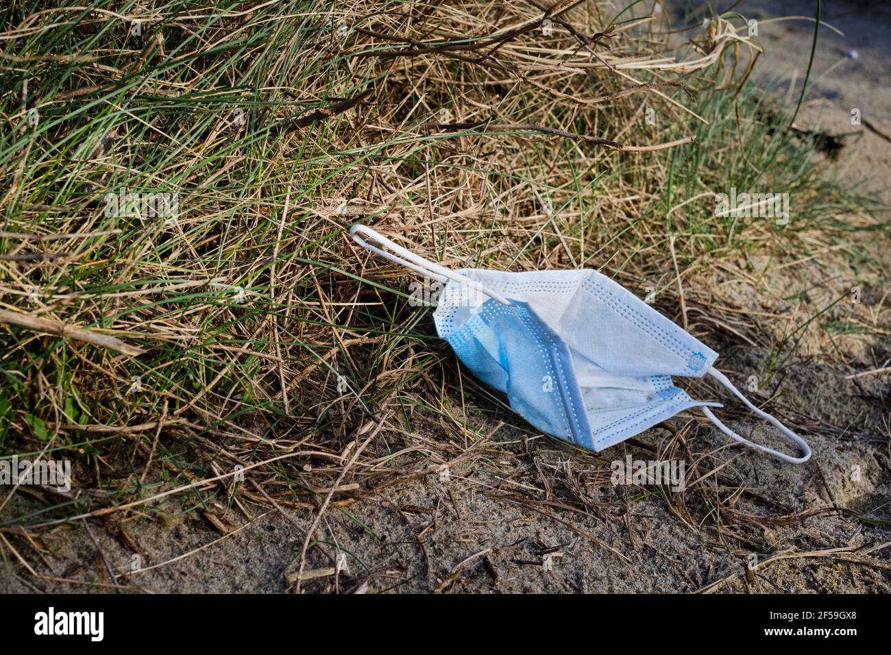 Litter in nature Stock Photo Alamy