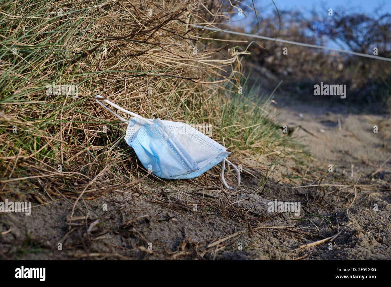 Litter in nature Stock Photo Alamy