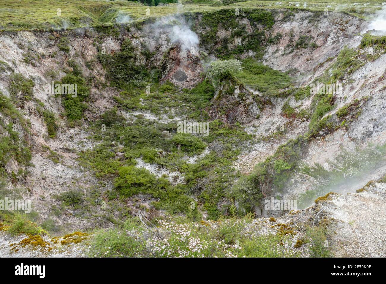 geothermal site in New Zealand named Craters of the Moon Stock Photo
