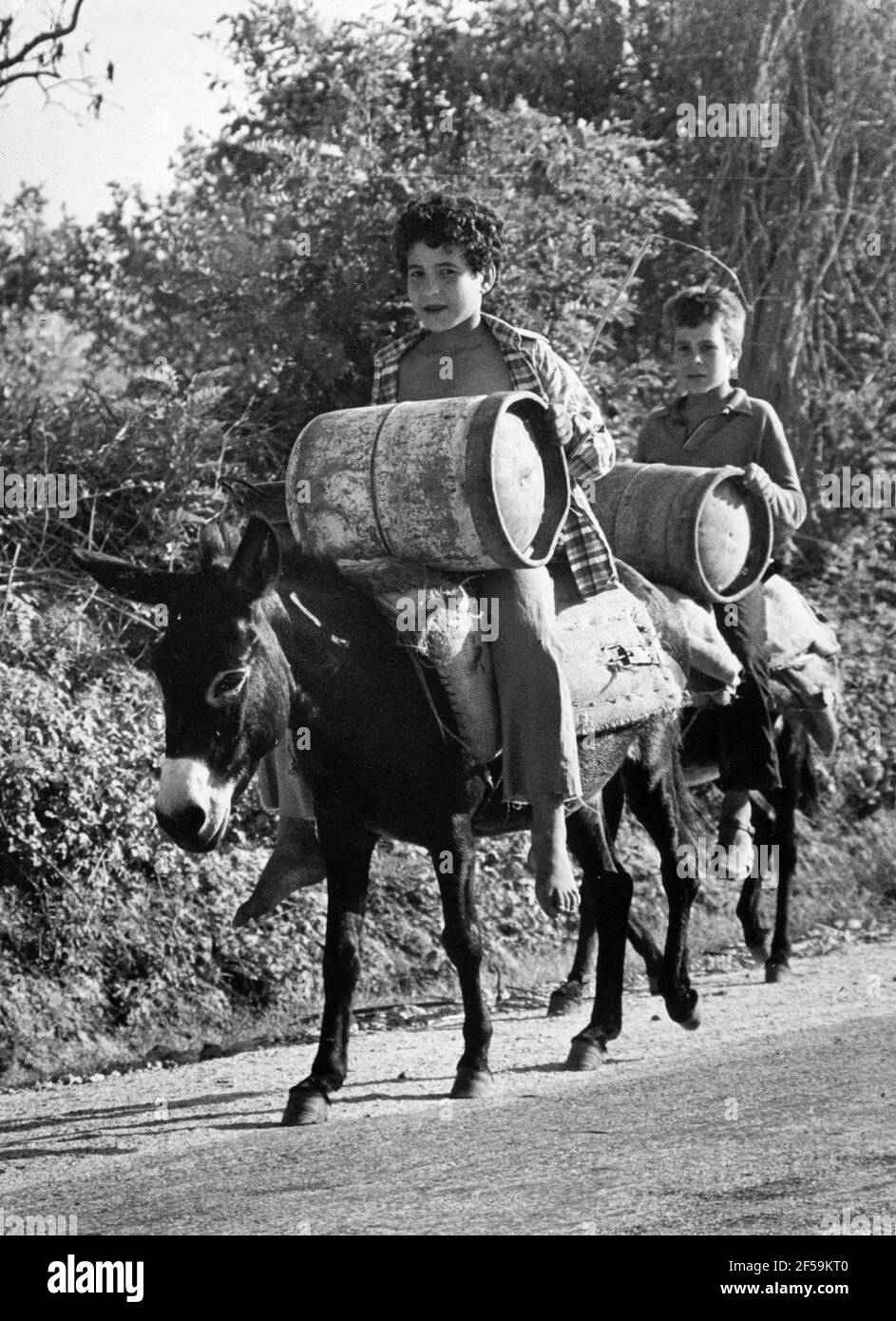1973-09-21 Two boys on their donkeys outside Skikda. They are riding home after having bought gas bottles for 10 Dinars.  Photo: Stig A Nilsson / DN / TT / code 43 Stock Photo