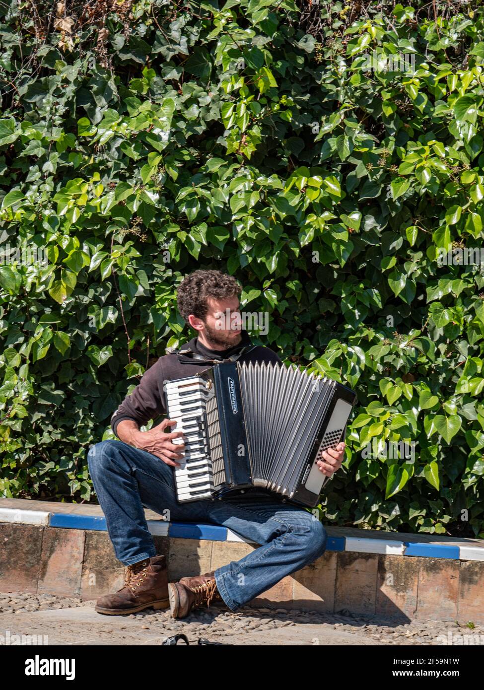 A busker playing an accordion in the city centre of Seville Spain Stock Photo