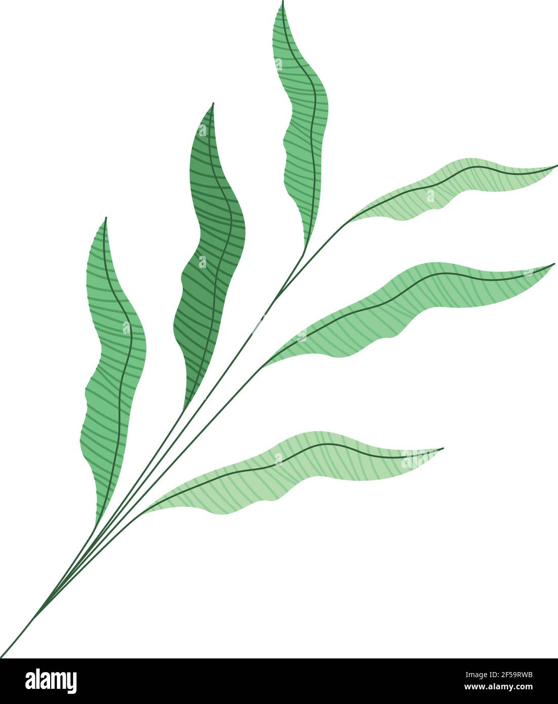 branch with leafs plant icon Stock Vector Image & Art - Alamy