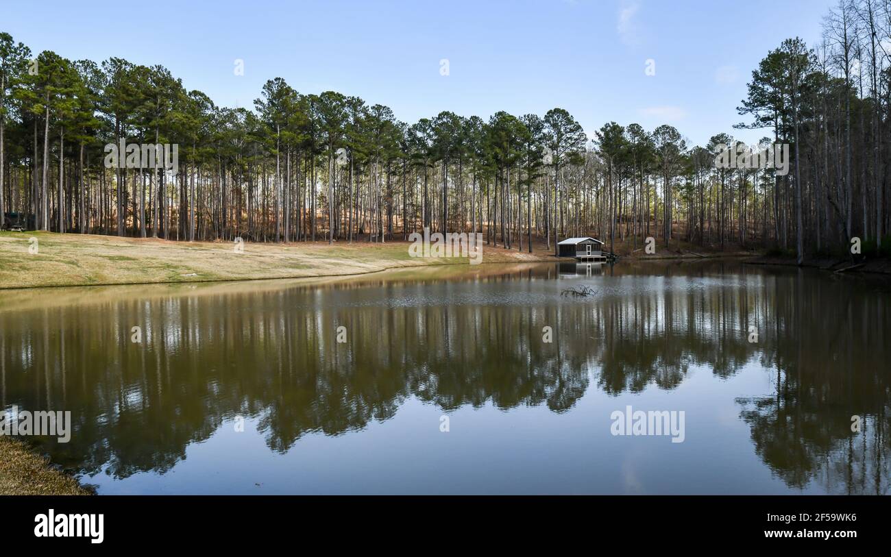 Tall pine trees reflecting in the pond on a Springtime day in Georgia Stock Photo