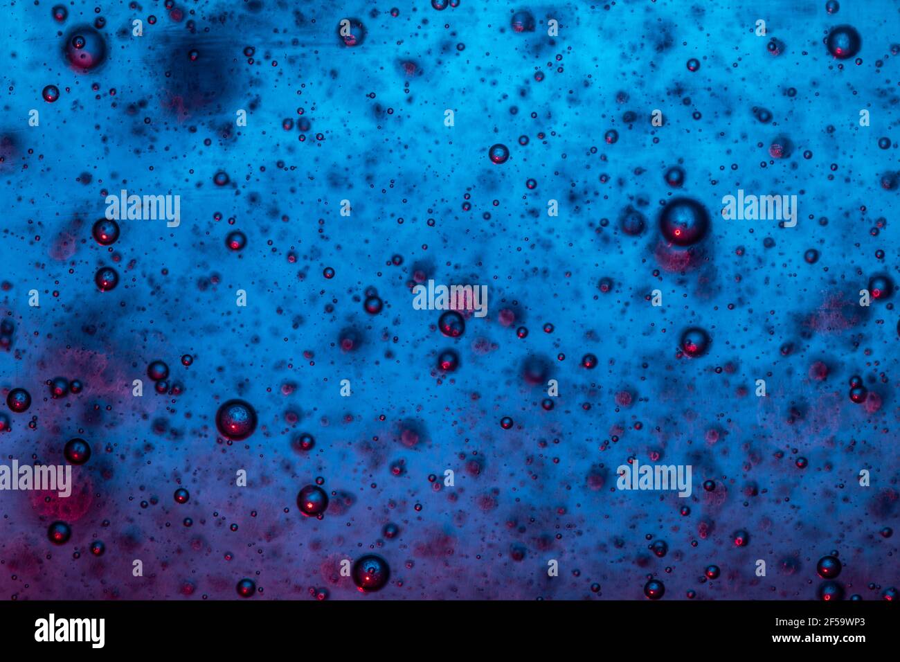 Large beautiful Oxygen bubbles underwater on a blue background macro