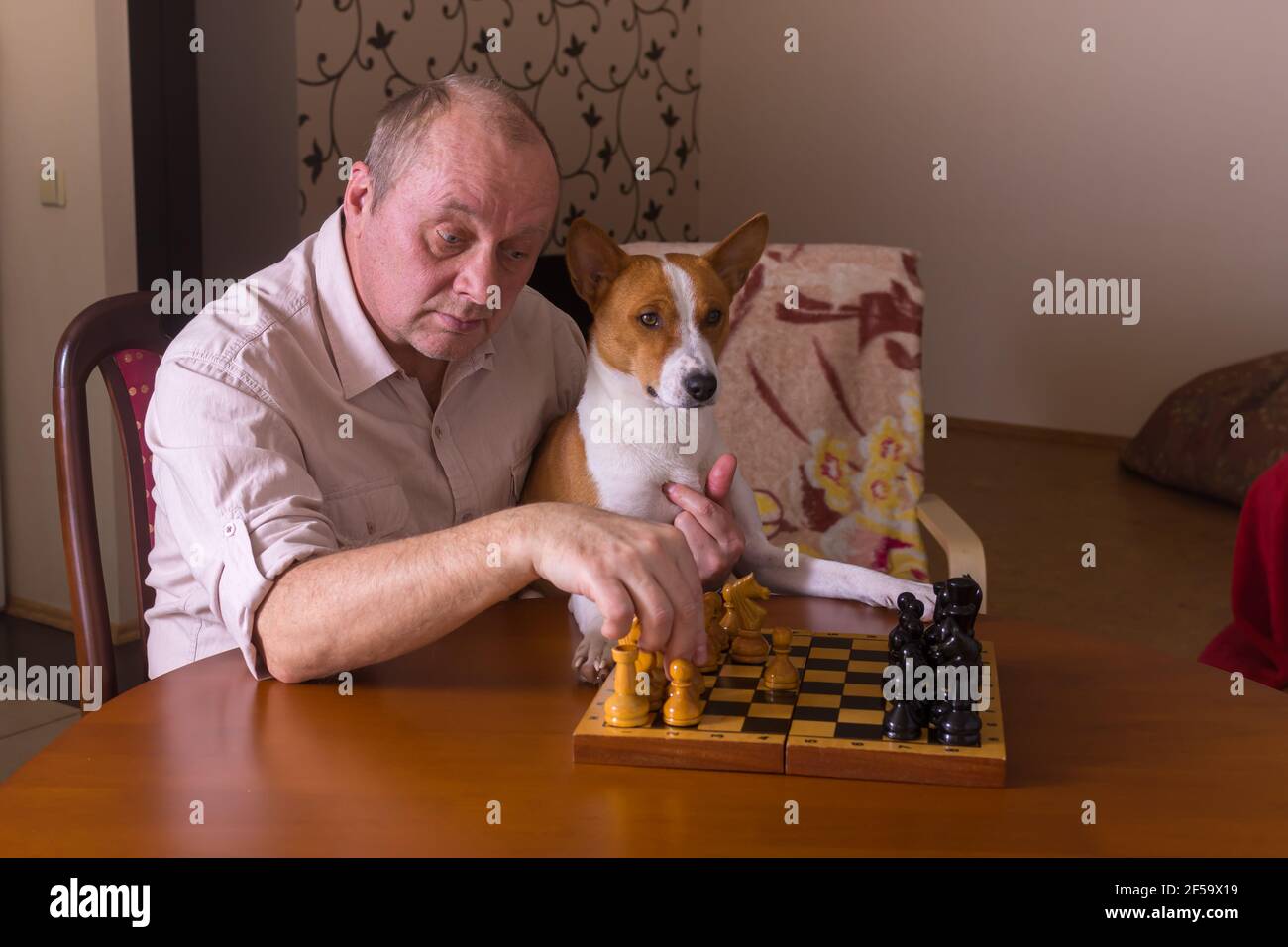 Senior man thinking about his next move in a game of chess Stock Photo by  dmytros9