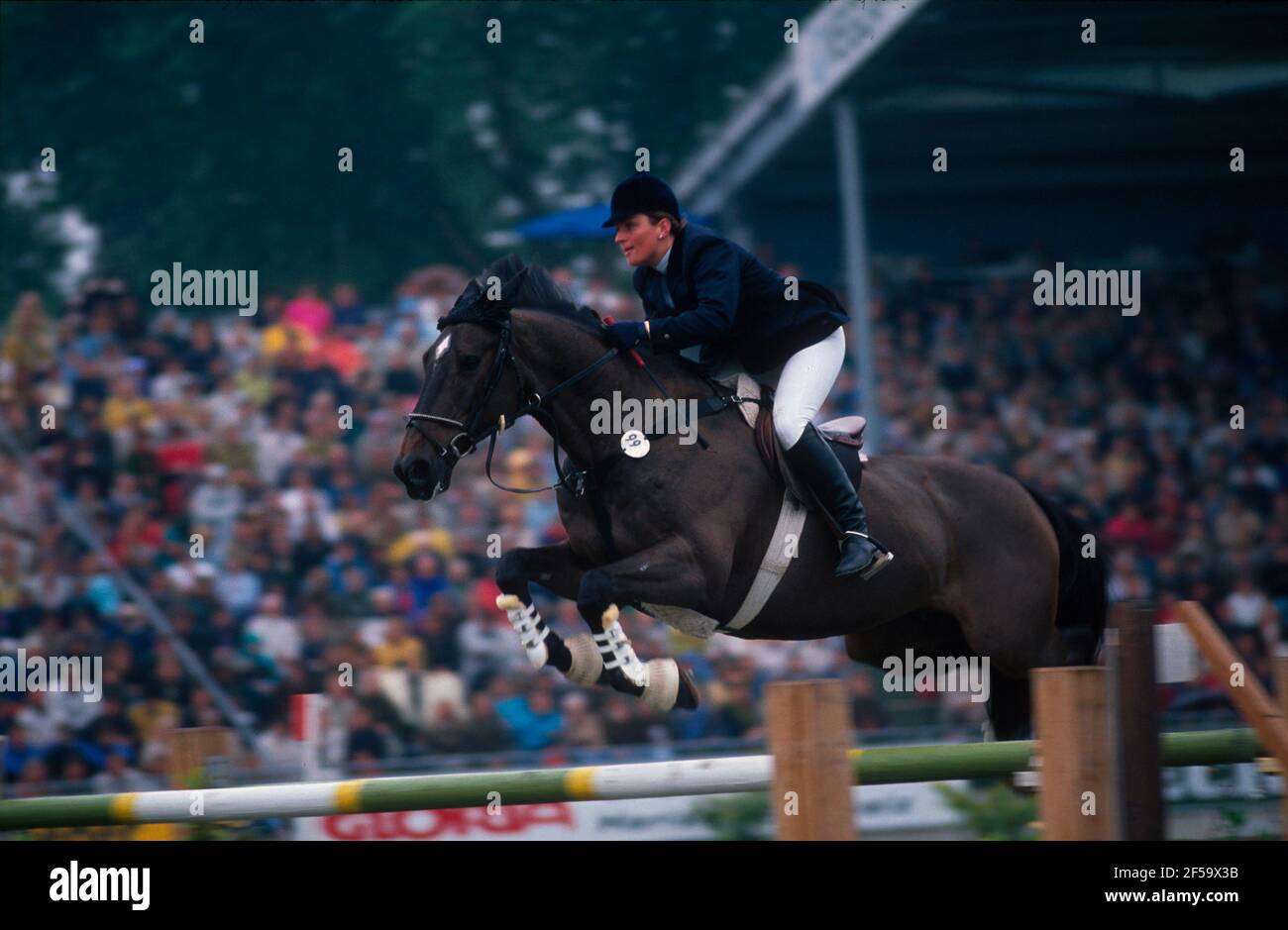 CHIO Aachen 1990, Helena Weinberg (GER) riding Just Malone Stock Photo