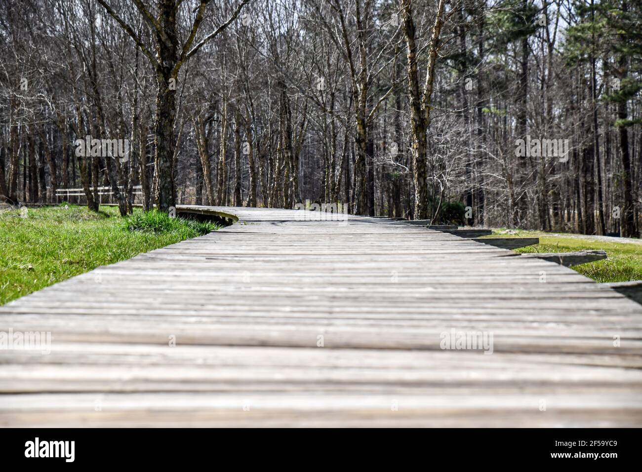 Long boardwalk hi-res stock photography and images - Alamy