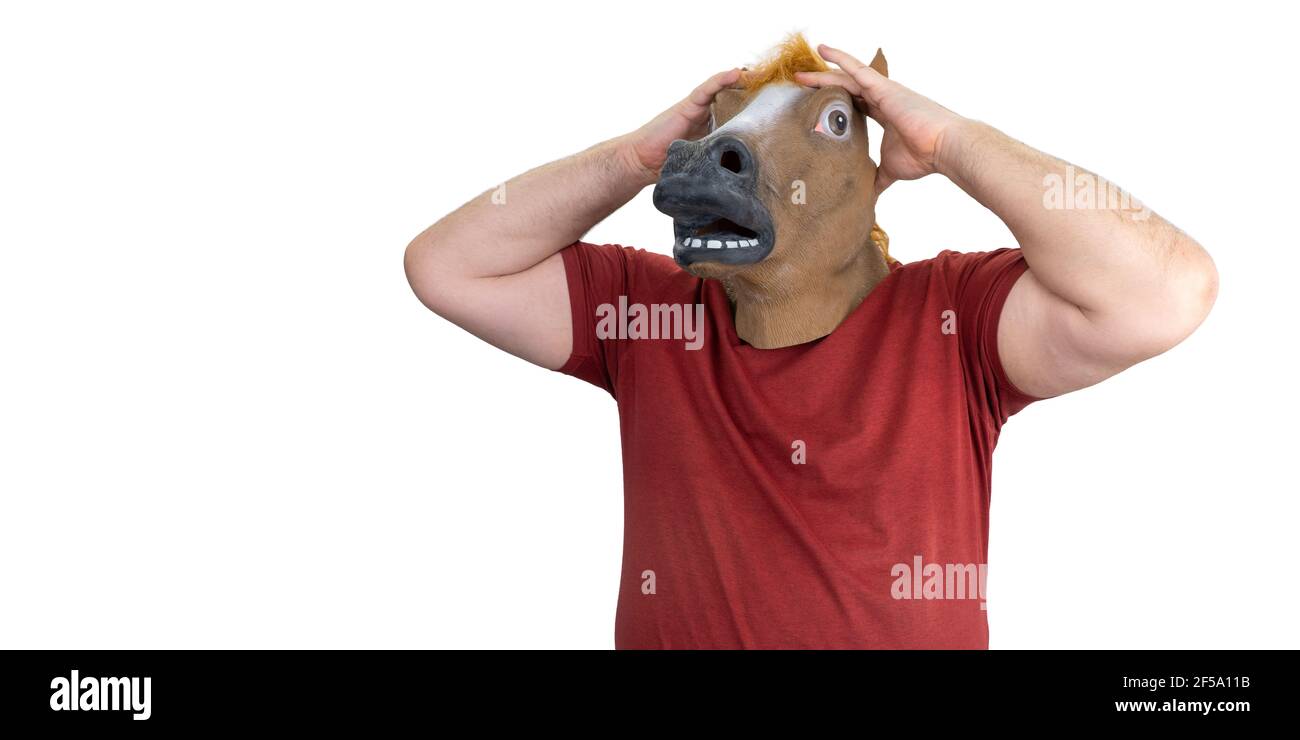 man in a horse mask isolated on a white background. a man grabs his head, the concept of hopelessness and doom. Stock Photo