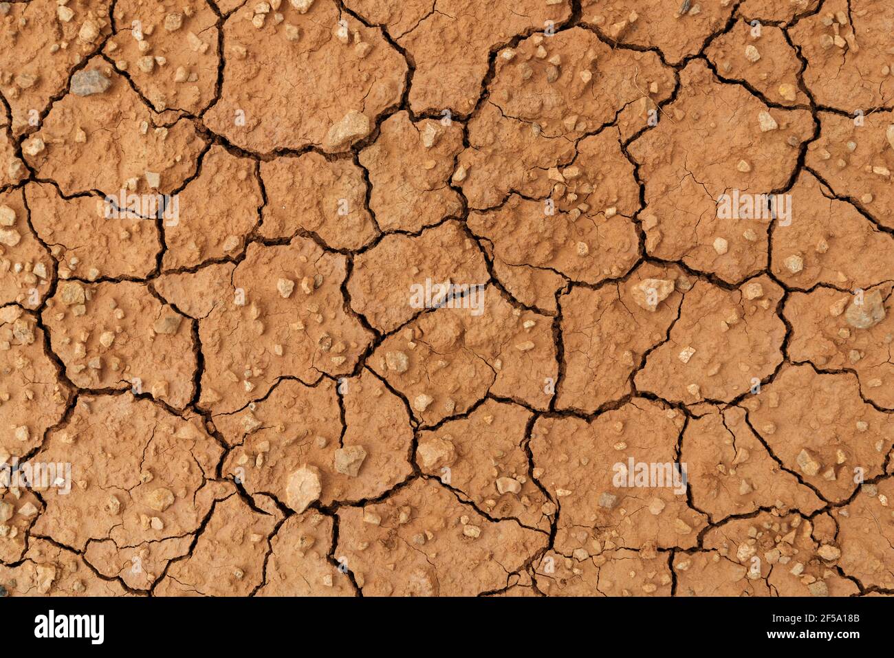 Parched and cracked soil Stock Photo