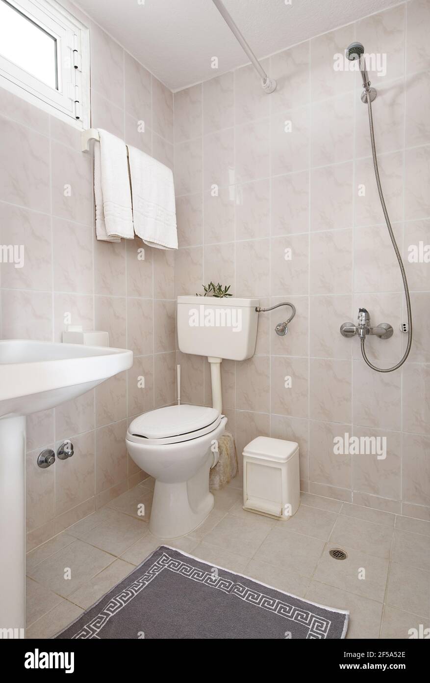 Simple style interior of small restroom with beige ceramic tile walls, white sink, classic WC toilet, grey meander ornament carpet, open shower withou Stock Photo