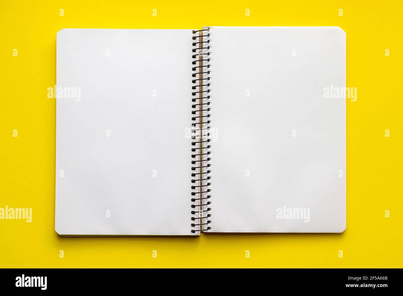 Open spiral notebook with blank empty white sheets on a bright yellow background, top view, flat lay Stock Photo