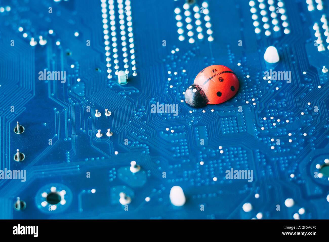 Little red ladybug on a blue motherboard. Concept of computer virus or bug, system failure, problem with technology, software or hardware Stock Photo