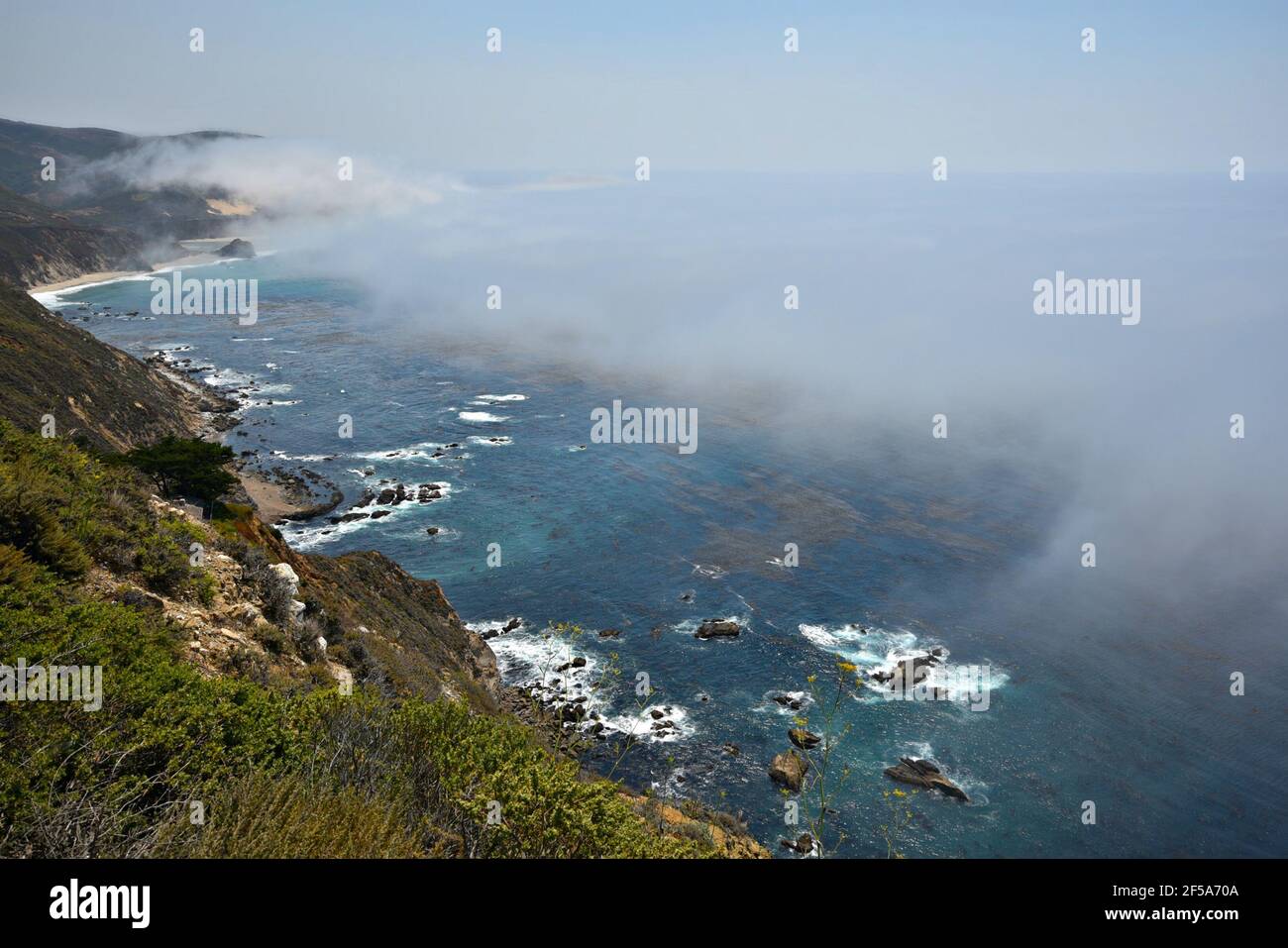 Landscape with scenic view of Big Sur foggy coastline in Central